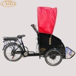 Electric Tricycle Supplier - Passenger Parent Child