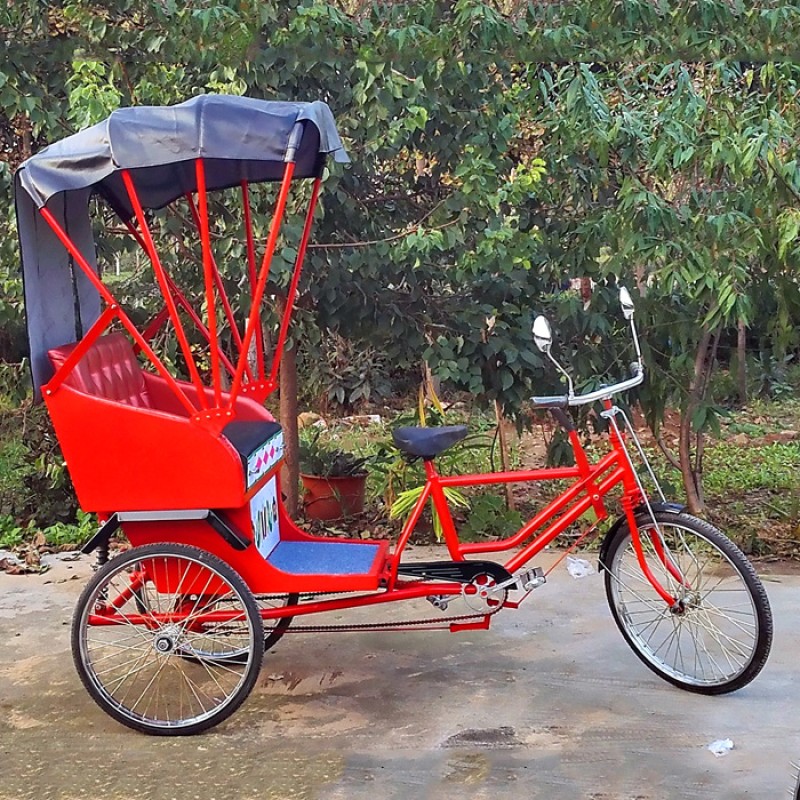 Electric Tricycle Manufacturer - Luxury Adult Rickshaw