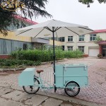 Electric Food Truck Supplier - Street Ice Cream