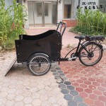 Cargo Bike Manufacturer - 3 Wheel 350W Family