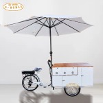 Hot Dog Bike Manufacturer - Outdoor Grill Tricycle