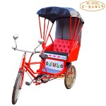Passenger Tricycle Manufacturer - Commercial Electric