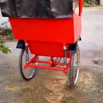 Electric Tricycle Manufacturer - Luxury Adult Rickshaw