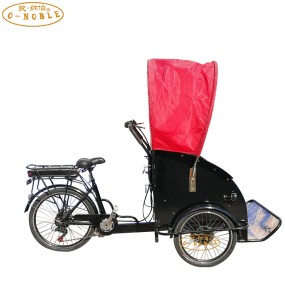 Cargo Bike Factory - 350W Motorized Adult