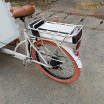 Cargo Bike Manufacturer - Classic Mobile Juice