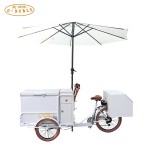 Ice Cream Tricycle Supplier - Mobile Electric Freezer