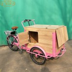 Tricycle Supplier - Wooden Box Takeaway Freight