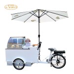 Electric Juice Bike Manufacturer - Cold Drink Sorbetes