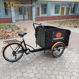 Electric Rickshaw Supplier - 3 Wheel Passenger Cargo