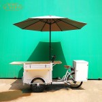 Food Tricycle Supplier - Wooden Vending Truck