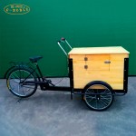 Electric Coffee Bike Manufacturer - 3 Wheel Food Transport