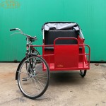 Electric Rickshaw Supplier - China Made Pedal