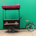 Food Kiosk Supplier - Custom Summer Street Truck
