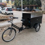 Electric Tricycle Factory - Classic Food Selling