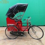 Electric Rickshaw Supplier - China Made Pedal