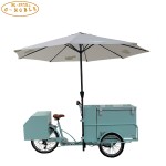 Electric Food Truck Supplier - Street Ice Cream