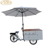 Mobile Food Tricycle Supplier - Hot Ice Cream Cart