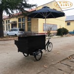 Electric Tricycle Factory - Classic Food Selling