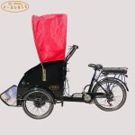 Electric Tricycle Supplier - Passenger Parent Child