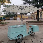 Electric Food Truck Supplier - Street Ice Cream