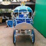 Wedding Carriage Manufacturer - Pumpkin Vienna