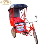 Electric Rickshaw Supplier - European Fashionable