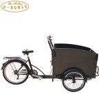 Cargo Bike Manufacturer - Front Loading Wooden Box
