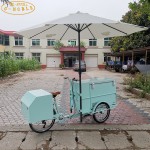 Electric Food Truck Supplier - Street Ice Cream
