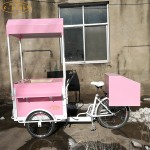 Food Cart Supplier - Street Snack Coffee Cart