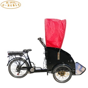 Electric Rickshaw Factory - Adult Male Taxi Tricycle