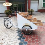 Vending Bike Factory - 3 Wheel Street Fast Food