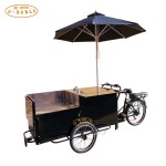 Electric Food Bike Manufacturer - 3 Wheel Vending