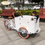 Electric Tricycle Factory - 350W Parent Child