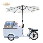 Ice Cream Bike Manufacturer - Big Freezer Vending