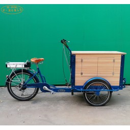Electric Tricycle Manufacturer - Pedal Assist Food Bike