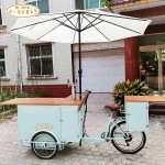Mobile Food Car Factory - Popular Beer Bikes