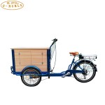Cargo Bicycle Supplier - Fruit Display Food Trailer