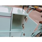 Commercial Bike Factory - Refrigerated Ice Cream