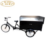 Electric Tricycle Factory - Classic Food Selling