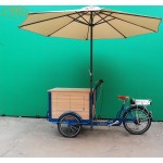 Cargo Bike Supplier - Front Load 6 Speed Wooden