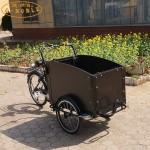 Electric Tricycle Factory - Low Cost 3 Wheel Cargo