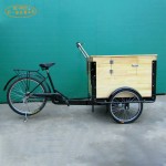 Electric Coffee Bike Manufacturer - 3 Wheel Food Transport