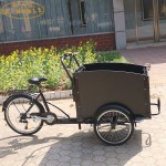 Electric Tricycle Factory - Low Cost 3 Wheel Cargo