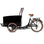 Electric Tricycle Factory - 350W Parent Child