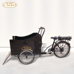 Electric Tricycle Supplier - Front Load Rickshaw