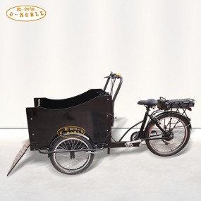 Electric Tricycle Supplier - Front Load Rickshaw