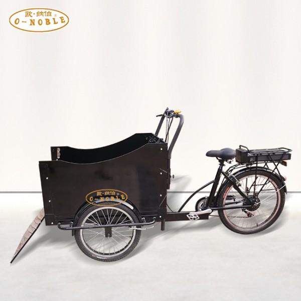 Electric Tricycle Supplier - Front Load Rickshaw