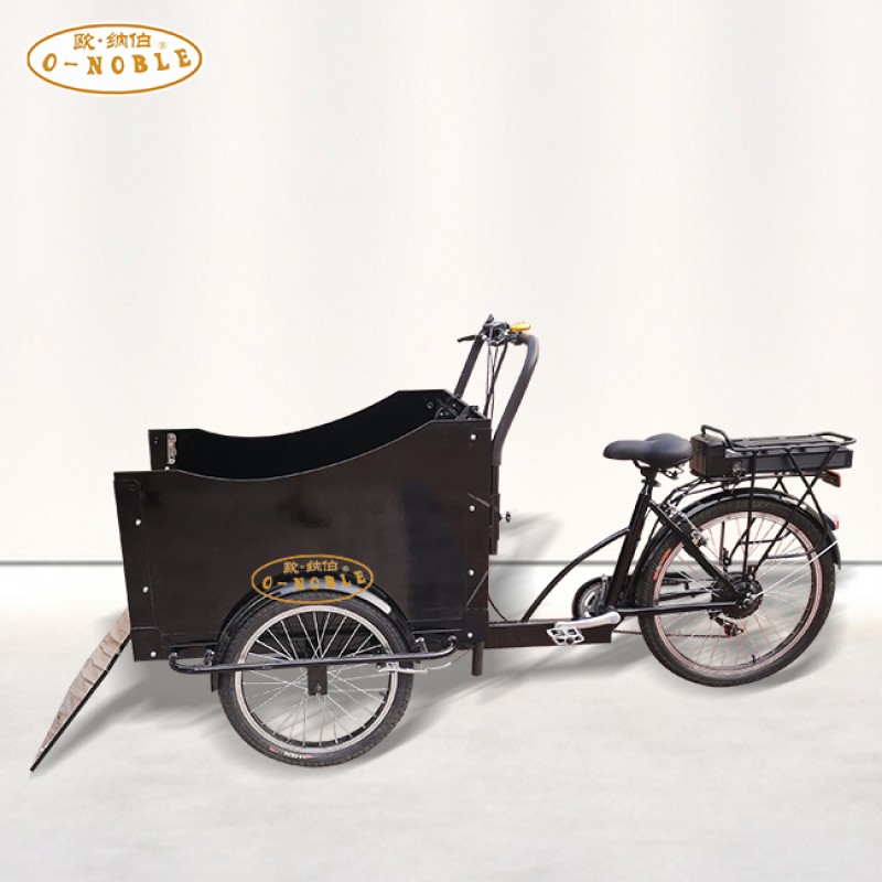 Electric Tricycle Supplier - Front Load Rickshaw