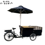 Electric Tricycle Factory - Umbrella Freezer Street