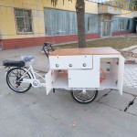 Mobile Food Tricycle Supplier - Hot Ice Cream Cart